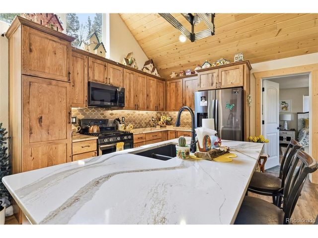 100 Wildcat Creek Dr, Florissant, CO 80816