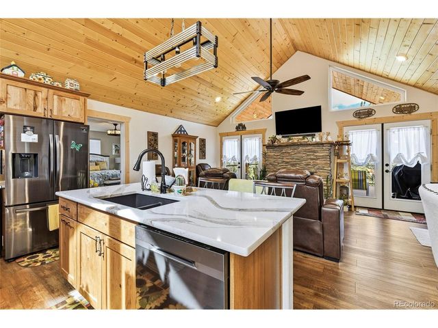 100 Wildcat Creek Dr, Florissant, CO 80816