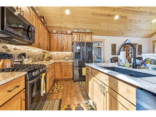 100 Wildcat Creek Dr, Florissant, CO 80816