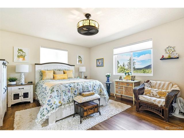 100 Wildcat Creek Dr, Florissant, CO 80816