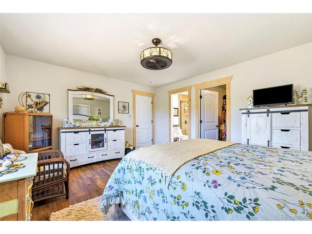 100 Wildcat Creek Dr, Florissant, CO 80816