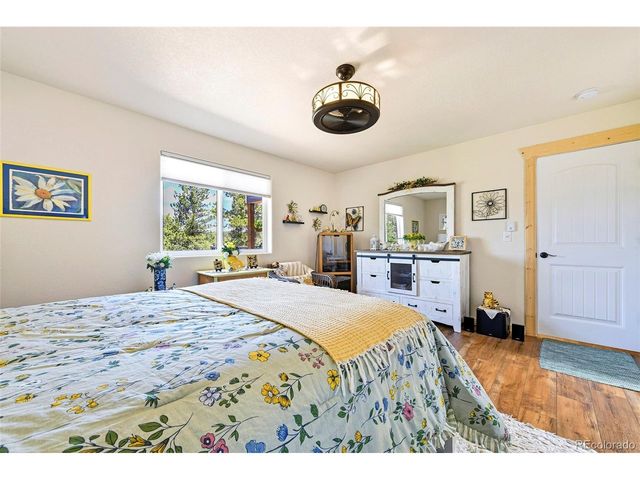 100 Wildcat Creek Dr, Florissant, CO 80816