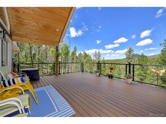100 Wildcat Creek Dr, Florissant, CO 80816