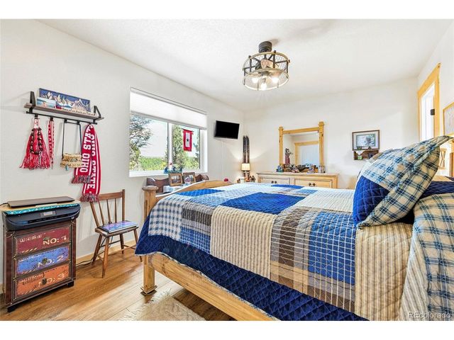 100 Wildcat Creek Dr, Florissant, CO 80816