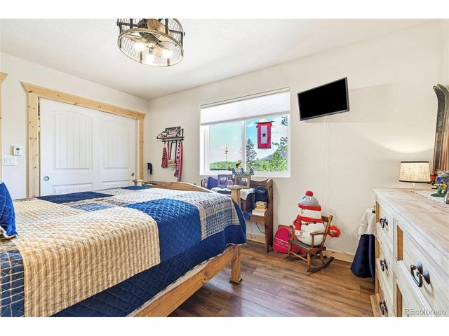 100 Wildcat Creek Dr, Florissant, CO 80816
