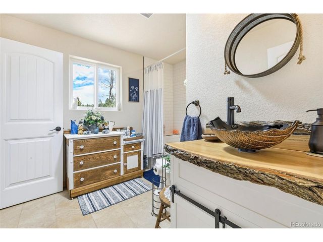 100 Wildcat Creek Dr, Florissant, CO 80816