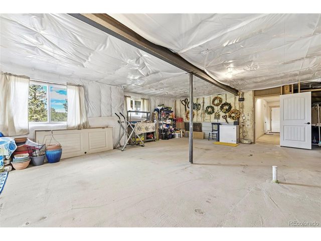 100 Wildcat Creek Dr, Florissant, CO 80816