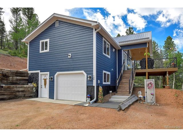 100 Wildcat Creek Dr, Florissant, CO 80816