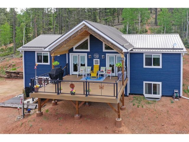 100 Wildcat Creek Dr, Florissant, CO 80816