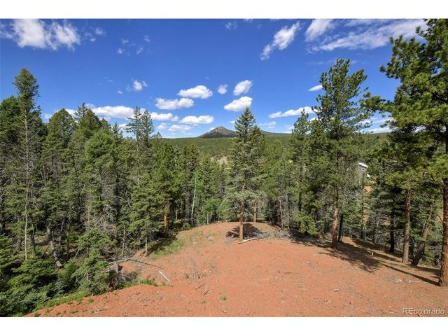 100 Wildcat Creek Dr, Florissant, CO 80816