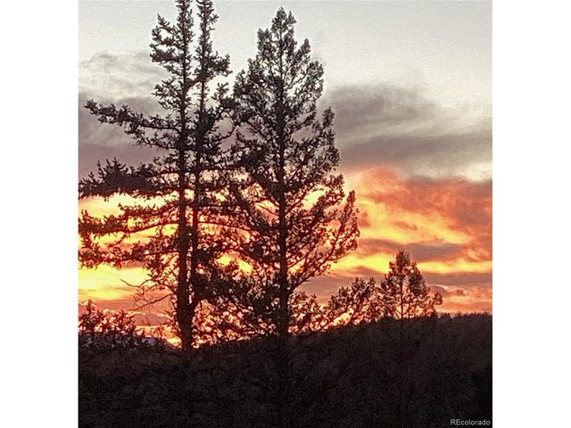 100 Wildcat Creek Dr, Florissant, CO 80816