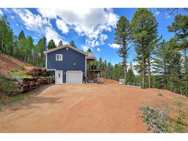 100 Wildcat Creek Dr, Florissant, CO 80816