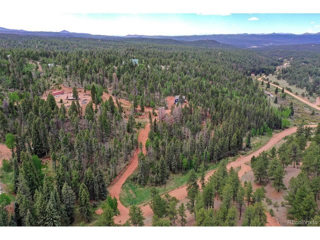 100 Wildcat Creek Dr, Florissant, CO 80816