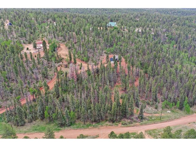 100 Wildcat Creek Dr, Florissant, CO 80816