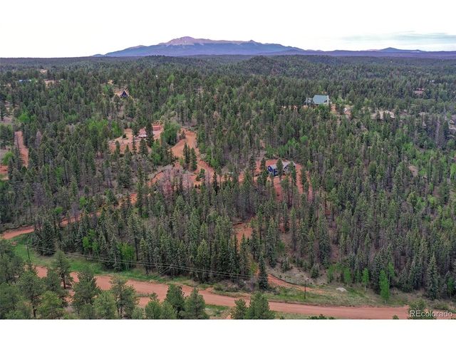 100 Wildcat Creek Dr, Florissant, CO 80816