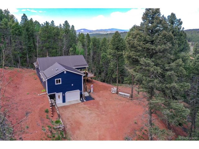 100 Wildcat Creek Dr, Florissant, CO 80816