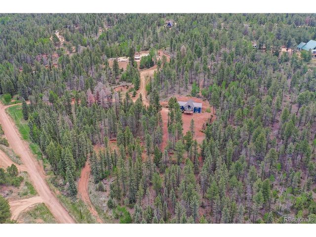 100 Wildcat Creek Dr, Florissant, CO 80816