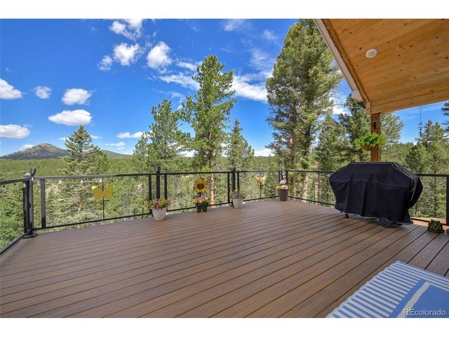 100 Wildcat Creek Dr, Florissant, CO 80816