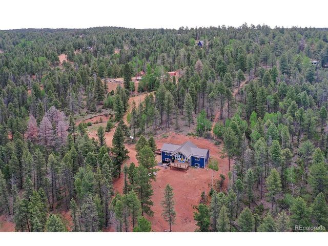 100 Wildcat Creek Dr, Florissant, CO 80816