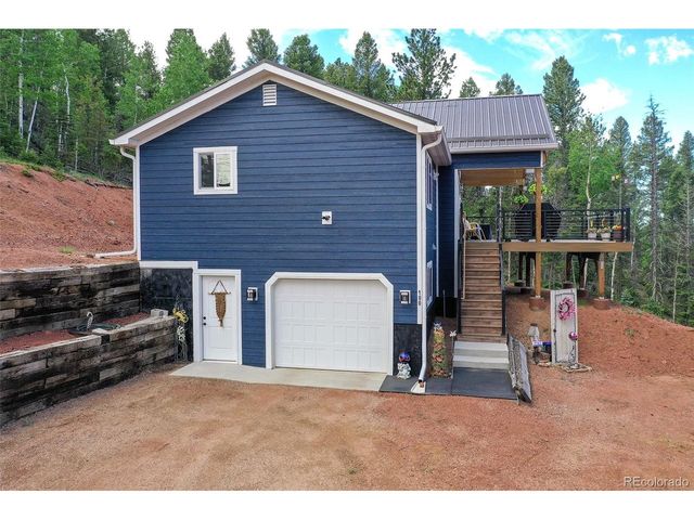 100 Wildcat Creek Dr, Florissant, CO 80816