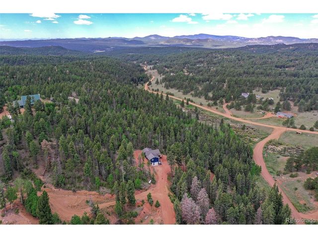 100 Wildcat Creek Dr, Florissant, CO 80816