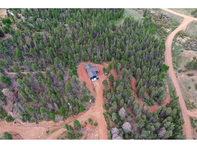 100 Wildcat Creek Dr, Florissant, CO 80816