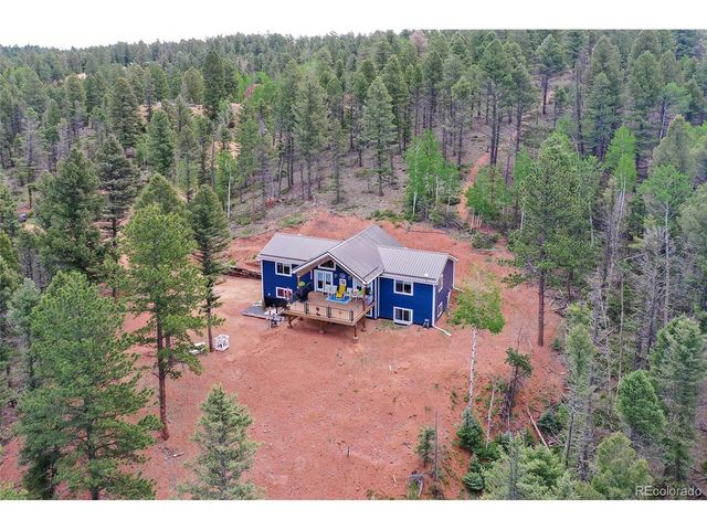100 Wildcat Creek Dr, Florissant, CO 80816