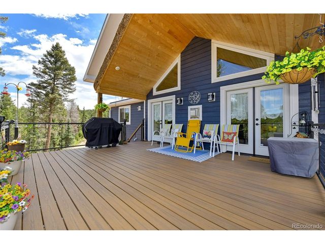 100 Wildcat Creek Dr, Florissant, CO 80816