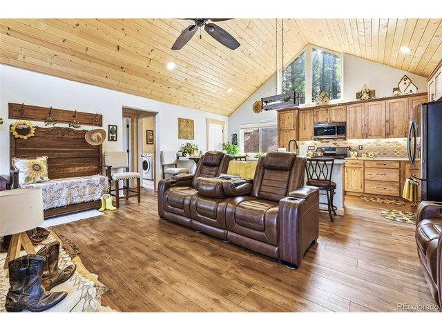 100 Wildcat Creek Dr, Florissant, CO 80816
