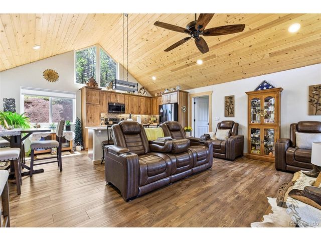 100 Wildcat Creek Dr, Florissant, CO 80816