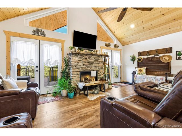 100 Wildcat Creek Dr, Florissant, CO 80816