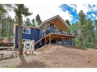 100 Wildcat Creek Dr, Florissant, CO 80816