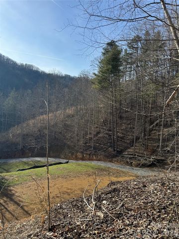 890 Fisher Branch Road, Marshall, NC 28753