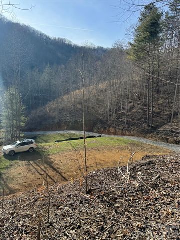 890 Fisher Branch Road, Marshall, NC 28753