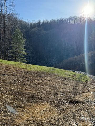 890 Fisher Branch Road, Marshall, NC 28753