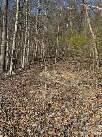 890 Fisher Branch Road, Marshall, NC 28753
