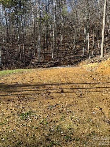 890 Fisher Branch Road, Marshall, NC 28753