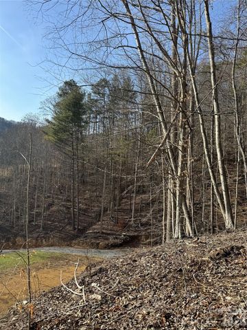 890 Fisher Branch Road, Marshall, NC 28753