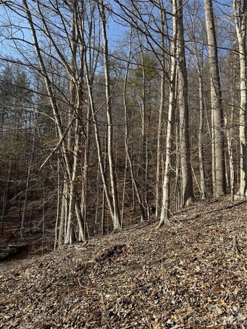 890 Fisher Branch Road, Marshall, NC 28753
