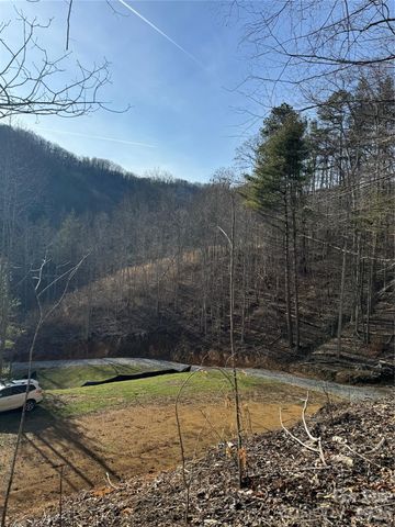 890 Fisher Branch Road, Marshall, NC 28753