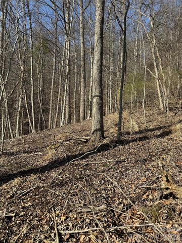 890 Fisher Branch Road, Marshall, NC 28753