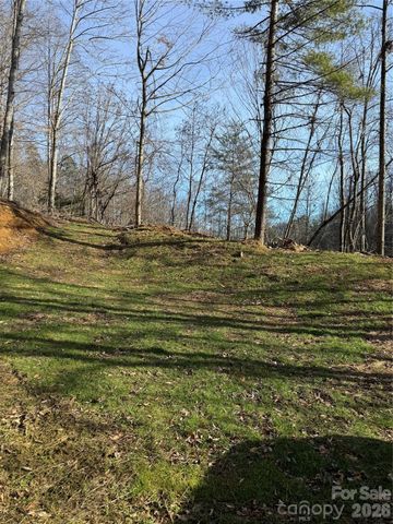 890 Fisher Branch Road, Marshall, NC 28753