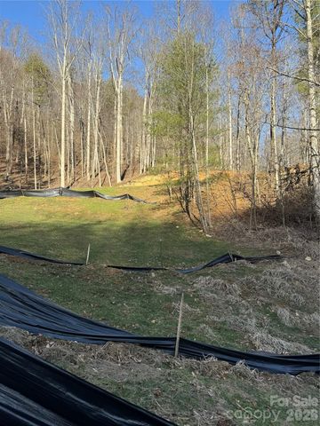 890 Fisher Branch Road, Marshall, NC 28753