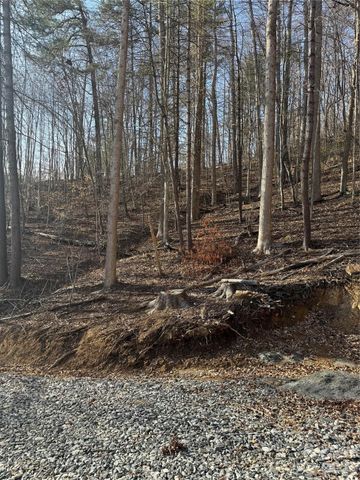 890 Fisher Branch Road, Marshall, NC 28753