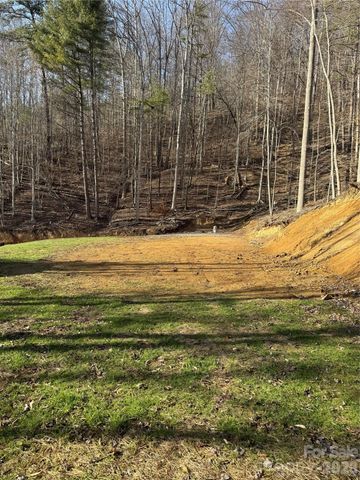890 Fisher Branch Road, Marshall, NC 28753