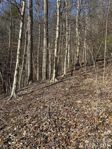 890 Fisher Branch Road, Marshall, NC 28753
