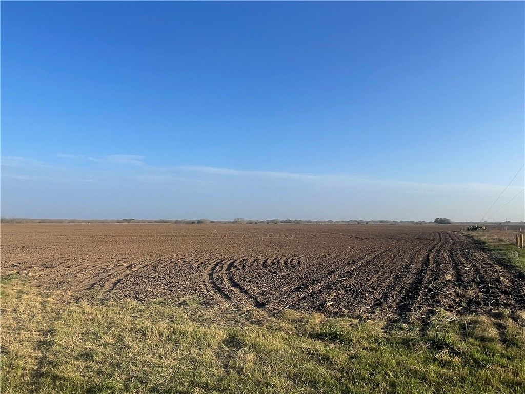 Lot 4 County Road 798, Sinton, TX 78387 — photo 2