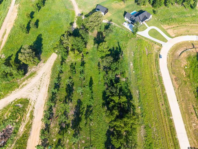 11032 Back Forty, Whitehouse, TX 75791