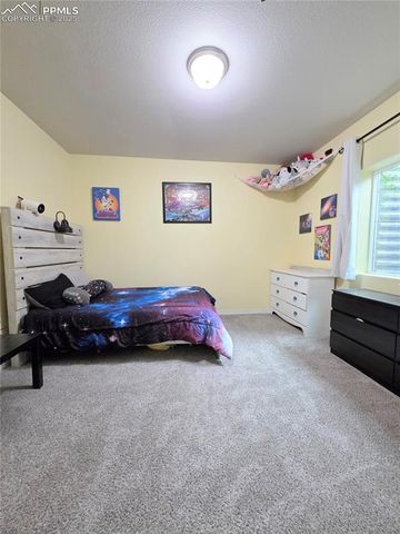 10898 Hidden Prairie Parkway, Fountain, CO 80817