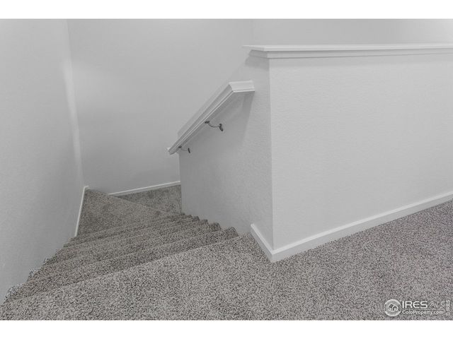 4894 River Roads Dr, Timnath, CO 80547